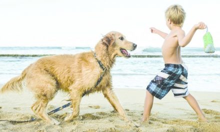 Un’estate in spiaggia con il cane. I diritti e i doveri del padrone (e del quattro zampe)
