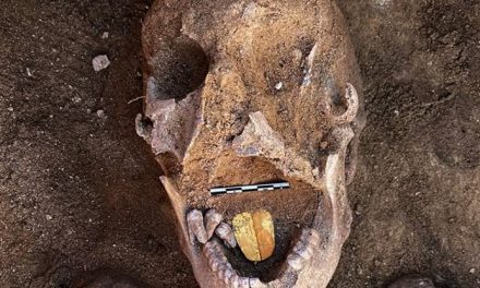 Egitto, scoperta mummia con lingua d’oro. Ha duemila anni