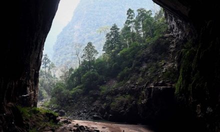 Vietnam. La grotta più grande del mondo: un ecosistema unico che il dopo-Covid metterà a rischio