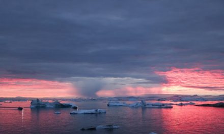 2100, l’ultimo ghiaccio del Polo Nord. Ecco come si sta sciogliendo l’Artico