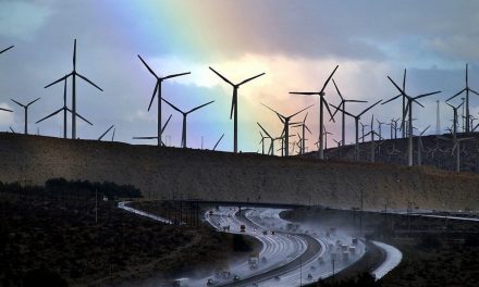Iea: 2021, l’anno record delle rinnovabili. Destinate a crescere del 95% nei prossimi 5 anni