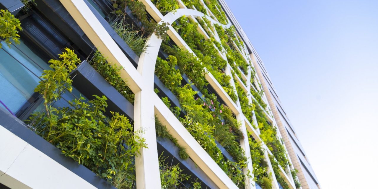 Un edificio coperto di piante permette di risparmiare il 30% di energia