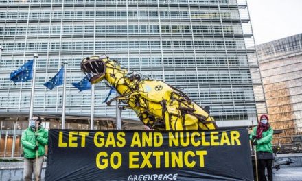 L’Unione europea ha deciso: nucleare e gas naturale sono nella lista green