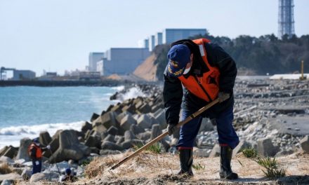 Ecco dove potrebbe finire l’acqua contaminata di Fukushima e con quali rischi per l’oceano