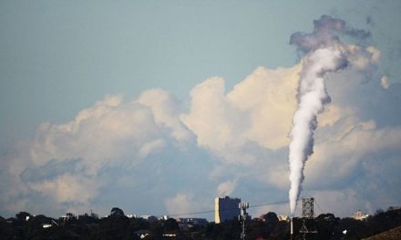 Emissioni di CO2 e digitale: Cingolani cita dati poco affidabili