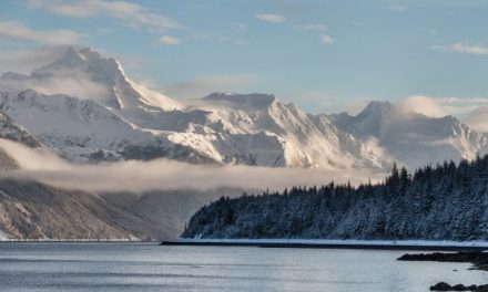 L’inverno caldo dell’Alaska: il termometro segna 19,4 °C, la temperatura più alta mai registrata