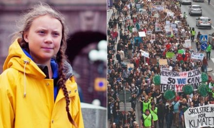 Greta Thunberg, l’arte di creare una protesta globale