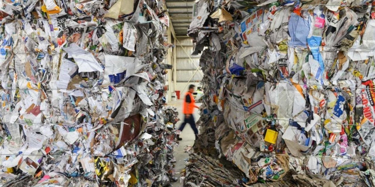 Le 25 vite di carta e cartone: molto più riciclabili di quanto si pensasse