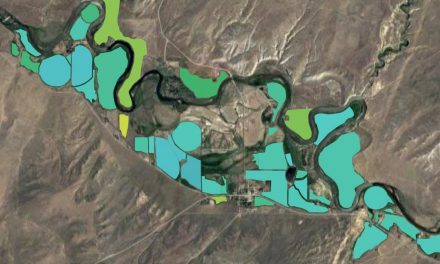 Le immagini da satellite e la capacità di elaborazione dati di Google per la tutela dell’ambiente