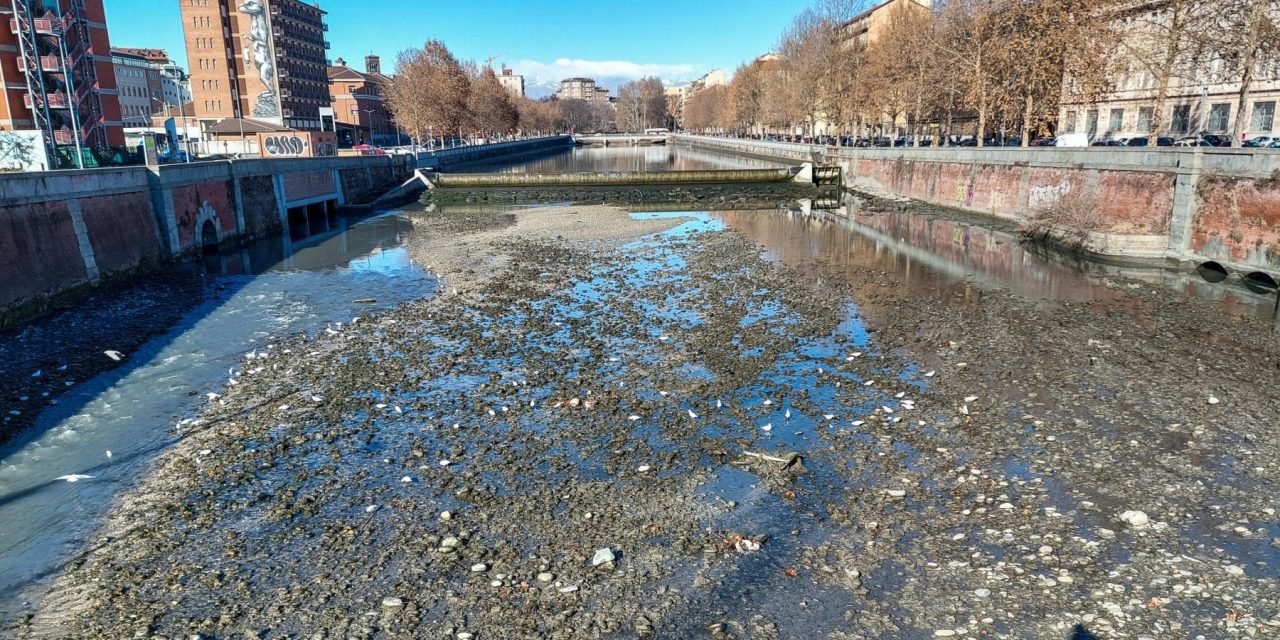 Siccità, allarme fiumi: a Torino la Dora è scomparsa
