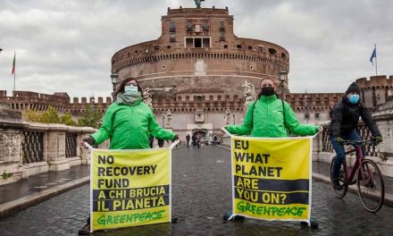 Pnrr, una transizione ecologica deludente: il bilancio di Wwf, Greenpeace e Legambiente