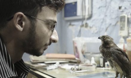 Due fratelli di Nuova Delhi curano i rapaci in un garage, il docufilm premiato