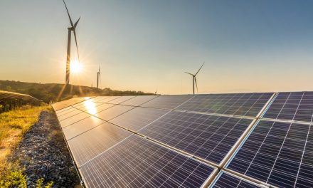 Le 10 proposte di Legambiente, Wwf e Greenpeace per l’indipendenza energetica