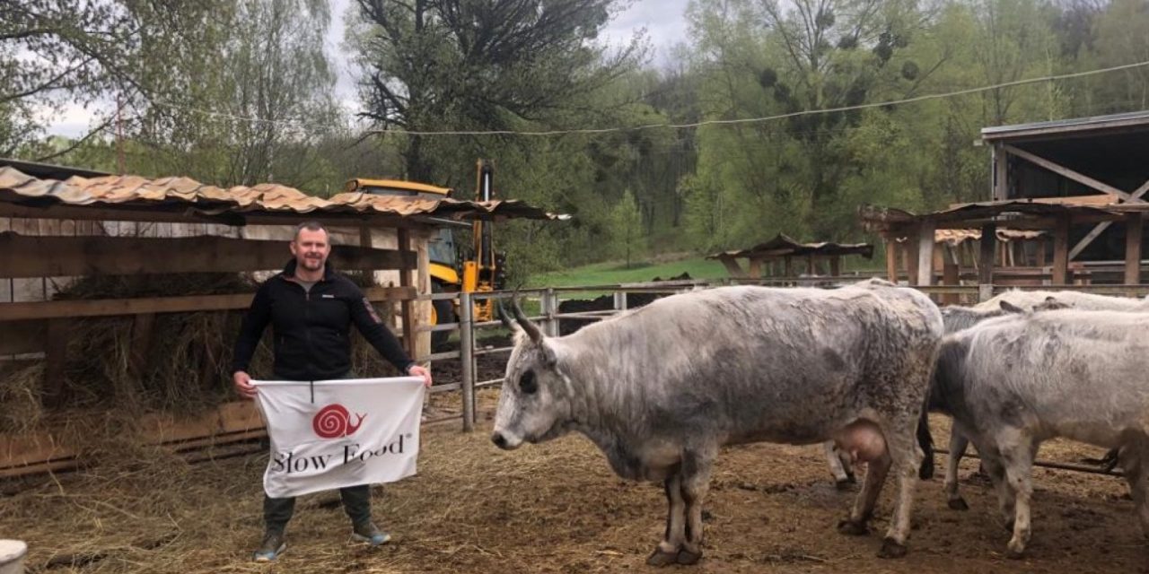 Il coraggio del dottor Travetsky, rimasto in Ucraina per salvare le mucche grigie