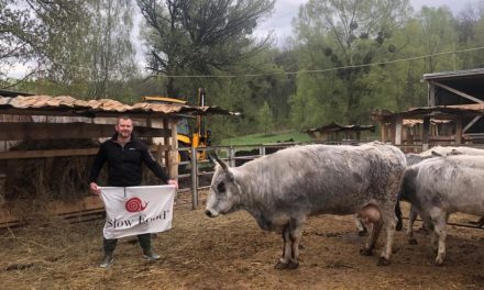 Il coraggio del dottor Travetsky, rimasto in Ucraina per salvare le mucche grigie