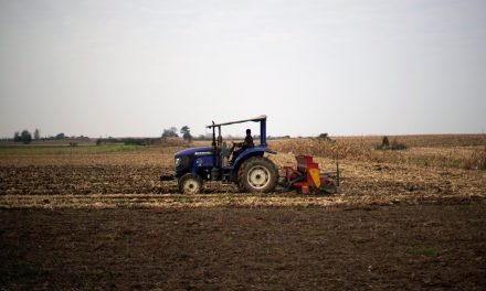 Crisi Ucraina, 10 falsi miti sulla sicurezza alimentare da sfatare secondo il Wwf