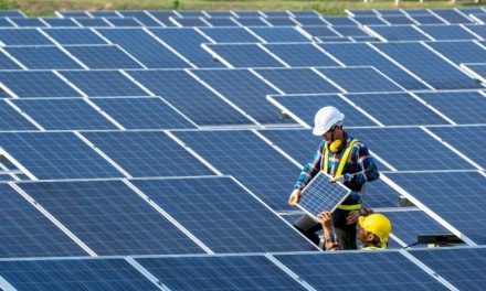 Il Consiglio di Stato respinge il ricorso del ministero della Cultura: sbloccati gli impianti solari di Tuscania e Montalto di Castro