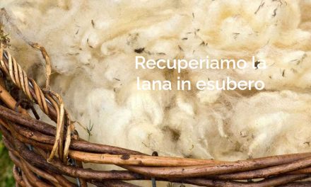 Gomitolorosa e la giornata della lana per recuperare una filiera antica (e i suoi scarti)
