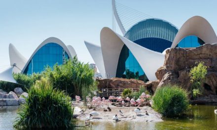Valencia, un anno da capitale mondiale del design. Scopriamola ora, più creativa che mai