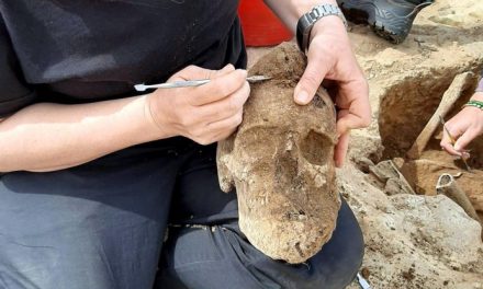 Sardegna, trovati altri due giganti a Mont’e Prama: dai nuovi scavi emerge coppia di pugilatori