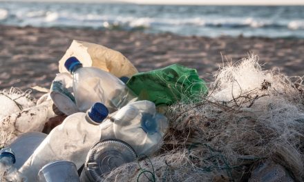 La Salvamare è legge: i pescatori possono portare a riva la plastica recuperata nelle reti