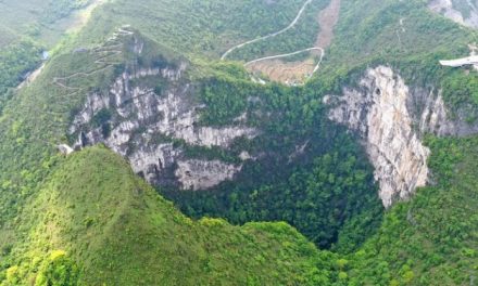 La foresta segreta cinese che cresce in una voragine