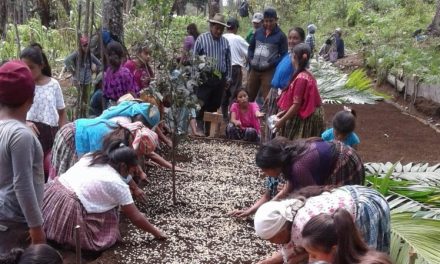 La rivoluzione femminile delle produttrici di caffè del Guatemala