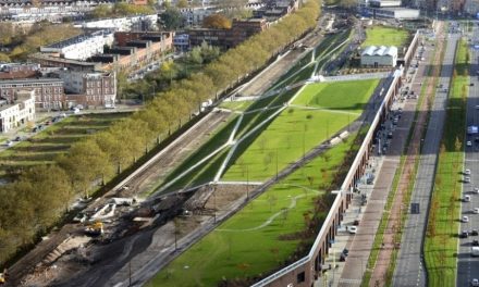 Giardini e pannelli solari sui tetti: Rotterdam vuole vincere la sfida contro la crisi climatica