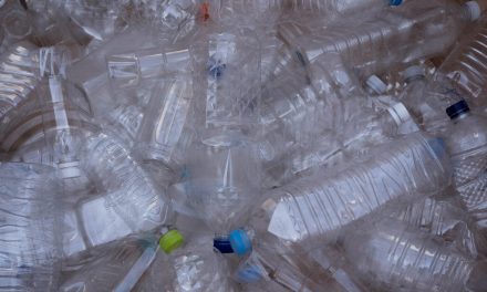 Che fine fa la plastica che ricicliamo in Italia: i dati 2021
