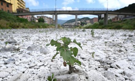 Nei prossimi 30 anni la siccità colpirà soprattutto l’Europa mediterranea