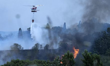 I dati Ispra sugli incendi 2021: Sicilia la più colpita, in Sardegna il rogo più esteso