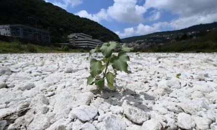 “L’Italia ha un piano per l’adattamento climatico, ma è rimasto in un cassetto del ministero”