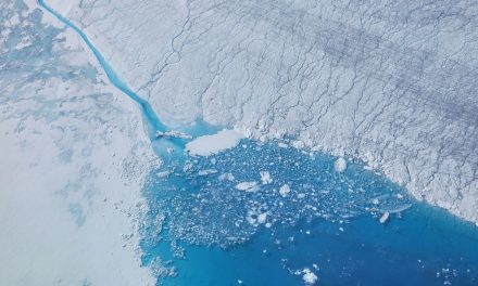 In Groenlandia gli iceberg perdono 6 miliardi di tonnellate di acqua al giorno