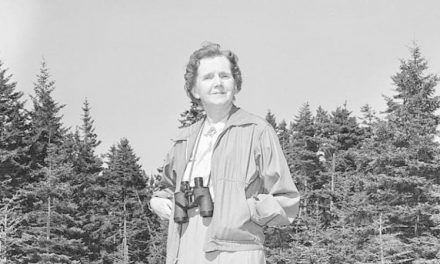Rachel Carson, ovvero l’ecologia spiegata ai ragazzi