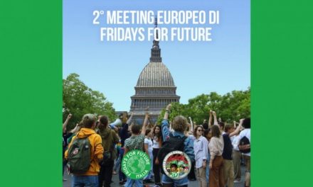 Fridays for Future a Torino: “Così possiamo salvare il Pianeta”