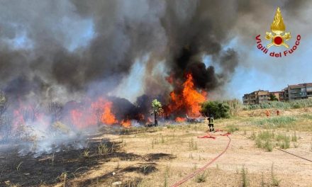 Gli incendi aumentano: le proposte di Legambiente per combatterli