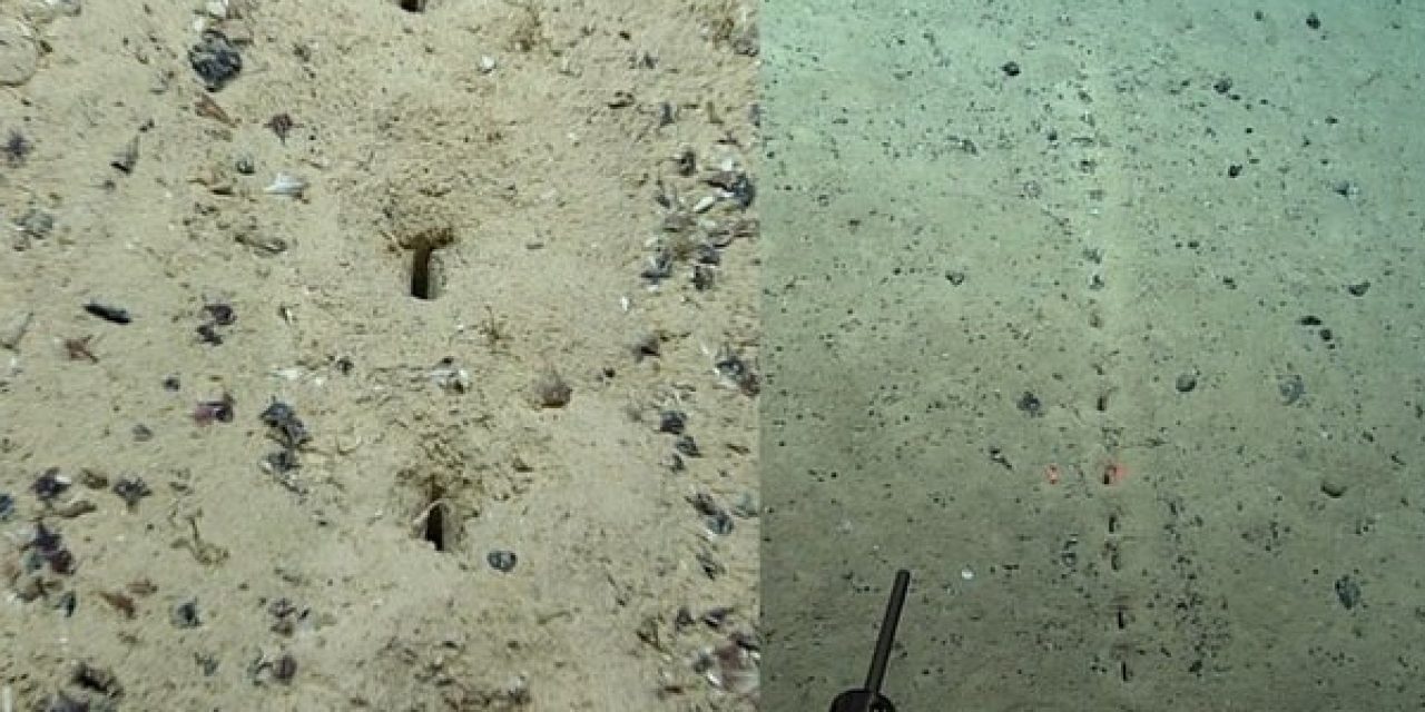 Il mistero dei buchi sul fondo dell’oceano Atlantico