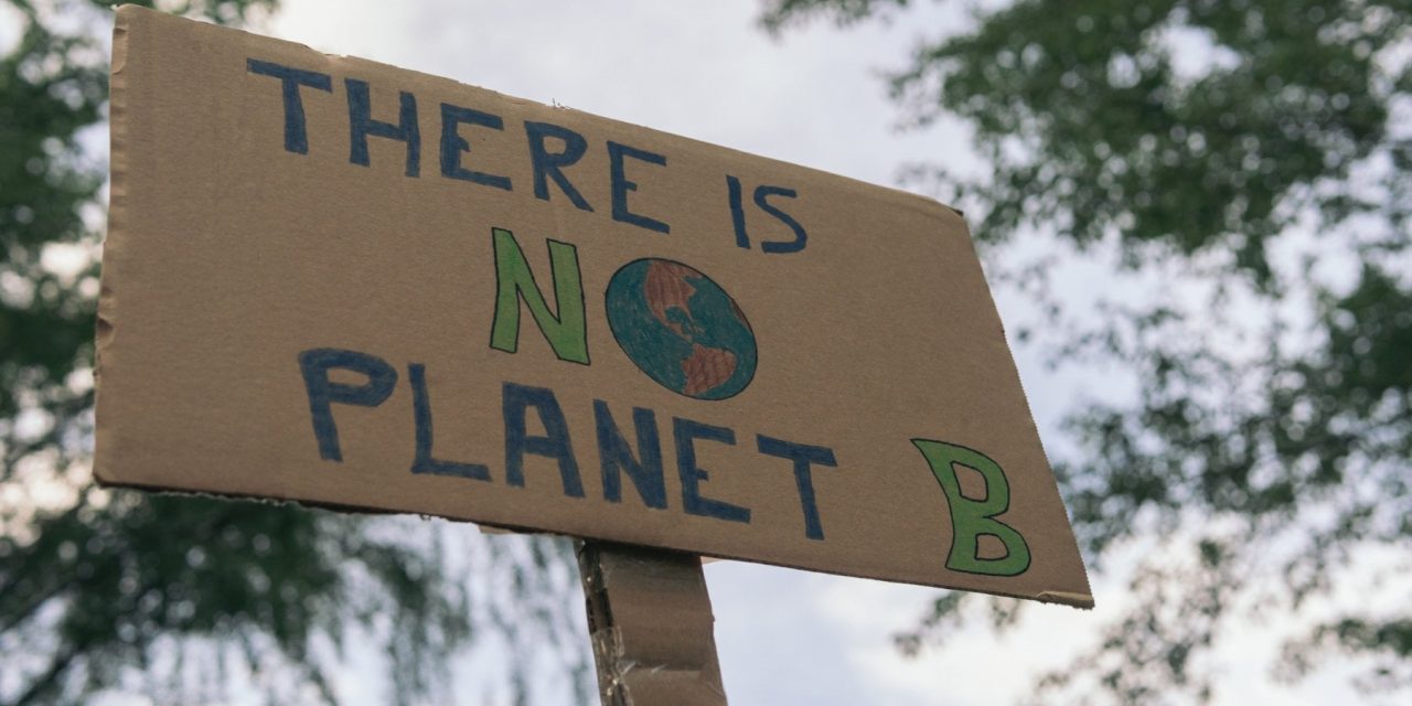 Gli scienziati vogliono che la politica affronti la crisi climatica: firma la petizione