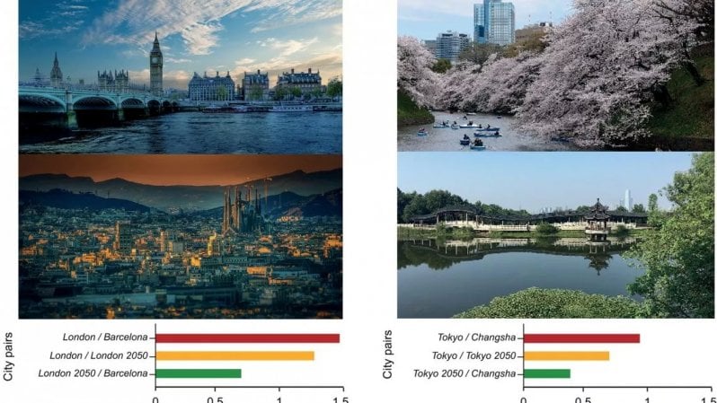 Roma come Antalya e Milano come Austin: così cambierà il clima nelle nostre città
