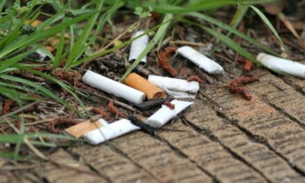 Nasce Erion Care, il primo consorzio nazionale per prevenire l’abbandono dei rifiuti dei prodotti del tabacco nell’ambiente