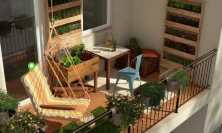 L’orto in balcone per combattere il carovita: 10 consigli