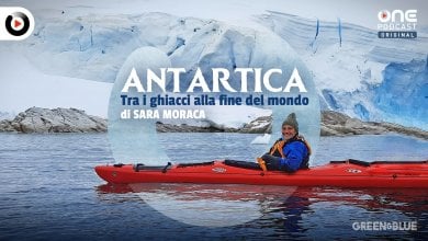 Antartica: viaggio tra i ghiacci alla fine del mondo – Il trailer