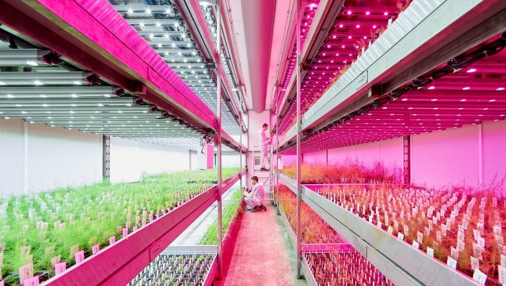 Illuminazione solare, vertical farming e stampa 3D: come l’illuminazione intelligente e sostenibile può cambiare il nostro modo di vivere