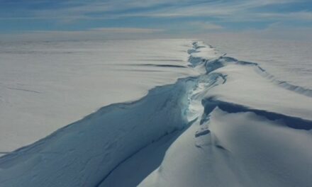 In Antartide si è staccato un iceberg grande come Londra: le immagini