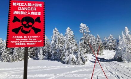 Boom dello sci fuoripista, il Giappone non è pronto: mai così tanti morti sulle piste, quasi tutti stranieri