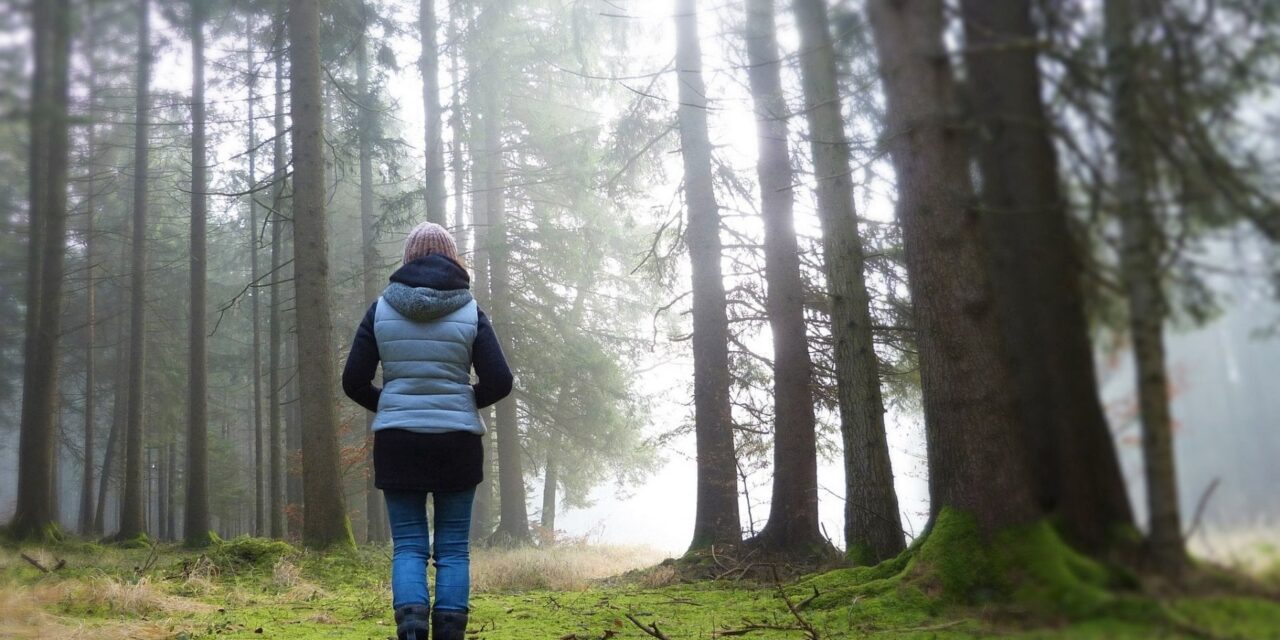 Respirare l’aria della foresta aiuta a ridurre l’ansia
