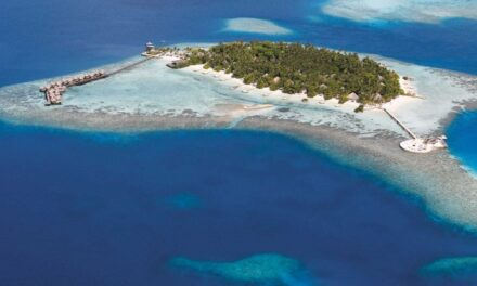 Maldive, eden pigliatutto. Nika Island prima isola gentile del pianeta