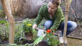 Sfatiamo 10 luoghi comuni del giardinaggio