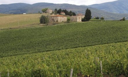 Toscana, via a candidatura Valle del Chianti in Patrimonio Unesco