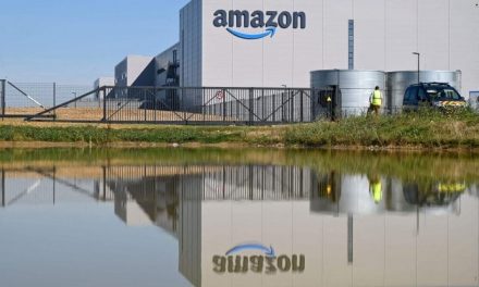 Amazon investe 2 milioni di euro per piantare alberi in Italia